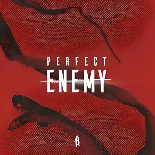 Breakdown Of Sanity : Perfect Enemy